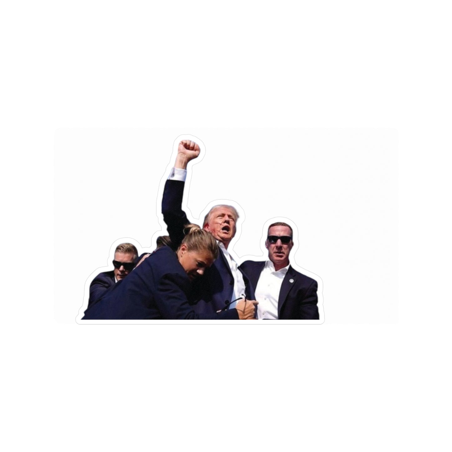 Trump Vinyl Kiss-Cut Stickers